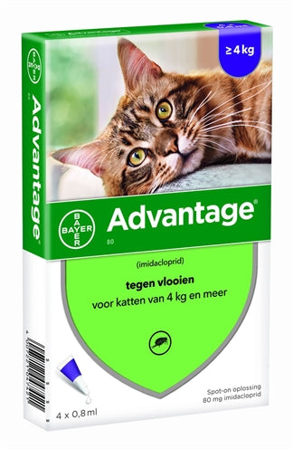 Bayer Advantage Kat