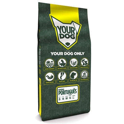 Yourdog Podengo Português Senior