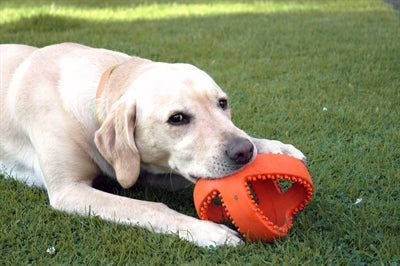 Happy Pet Grubber Interactieve Voetbal Oranje