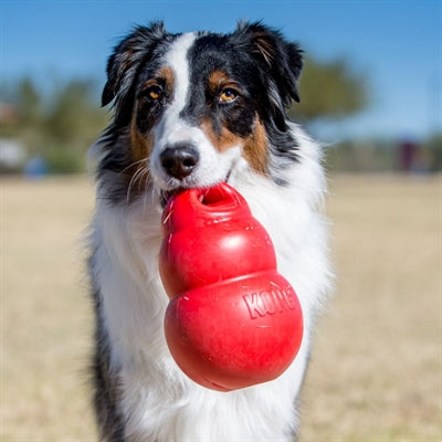 Kong Bounzer Rood